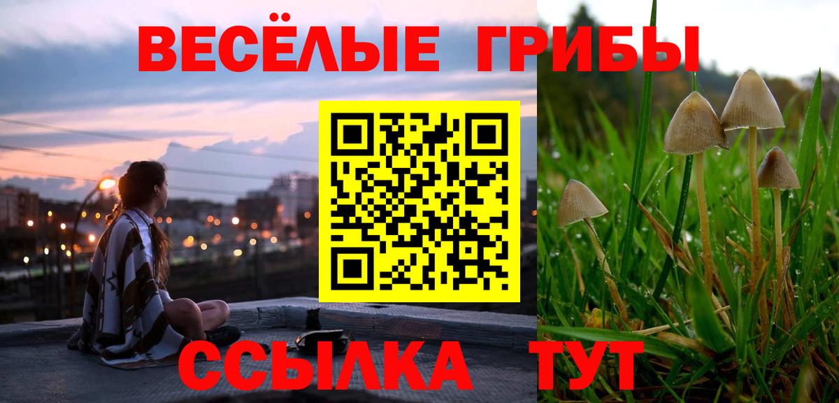 Мелеуз  Псилоцибиновые грибы мицелий  Вход с VPN 