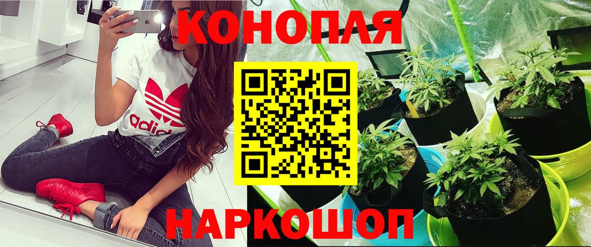 Бошки марихуана White Widow  Вход с VPN  Бошки Шишки Amnesia  Мелеуз  Шишки марихуана марихуана  Бошки Шишки THC 21% 